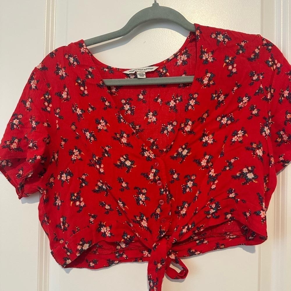 American Eagle Outfitters Red Floral Crop Top